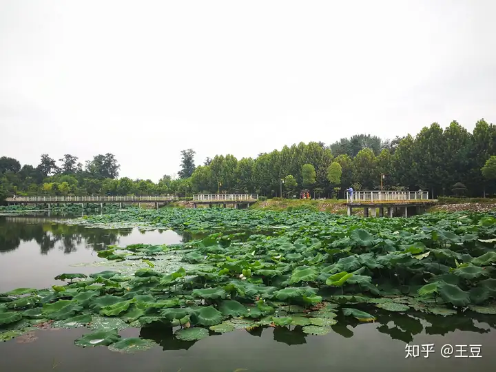 各地笛迷盛赞河南南阳（各地笛迷盛赞河南南阳） 第8张