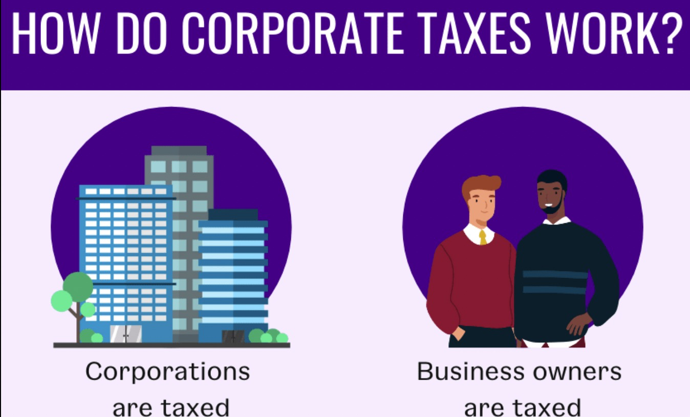 2023超低成本注册美国公司&合规运营全指南，注册美国公司，美国公司注册推荐哪个州- 国民的跨境十年