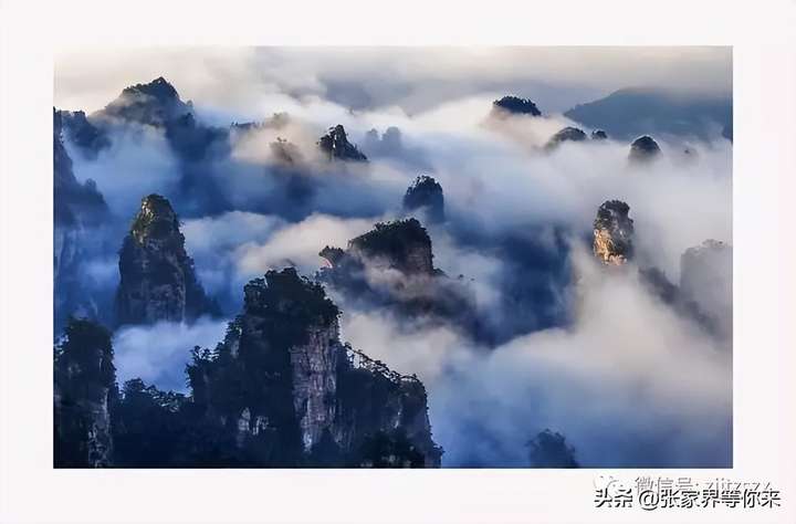 张家界旅游攻略自由行三天 张家界三天游玩