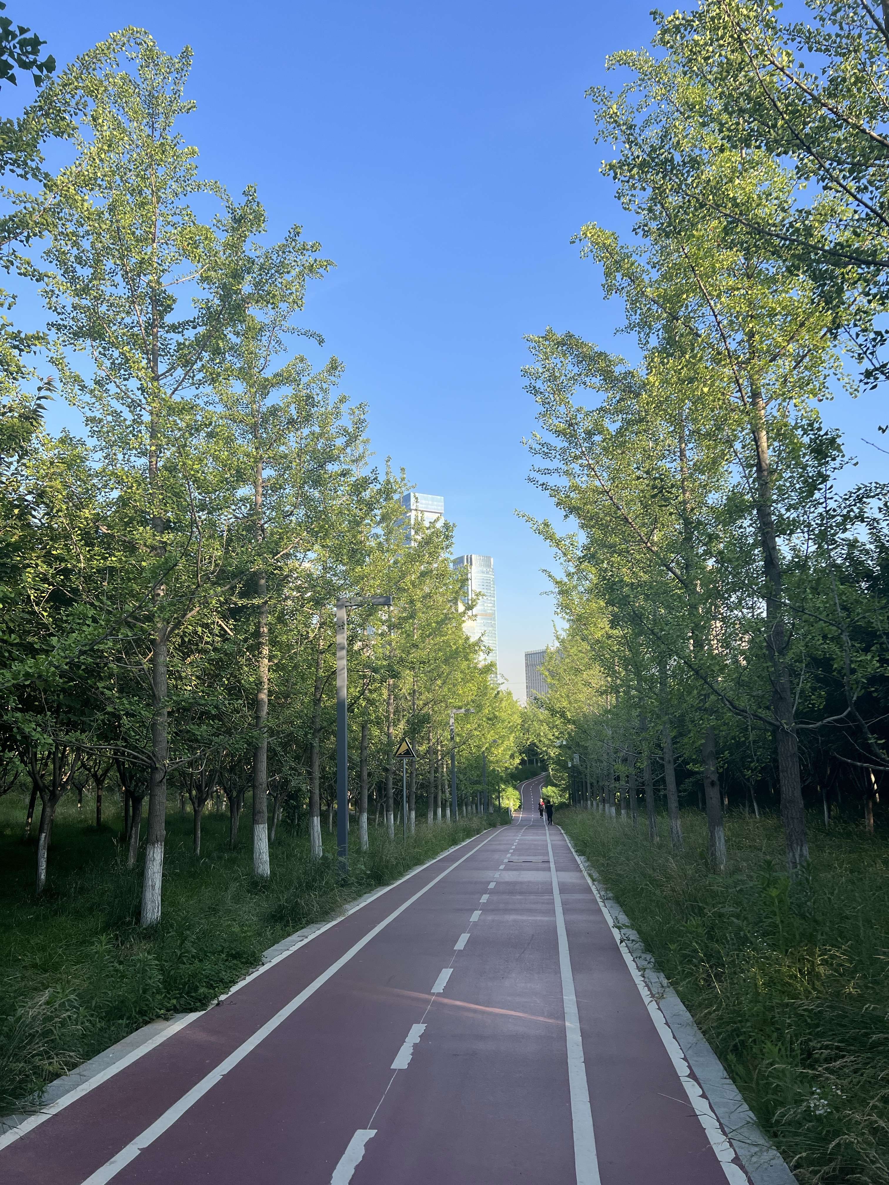 林隐天下 的想法: 公园城市和城市公园 | 西安城市发展有两… - 知乎