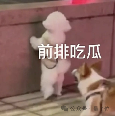 小扎千亿挖人名单下一位：硅谷华人AI高管第一人