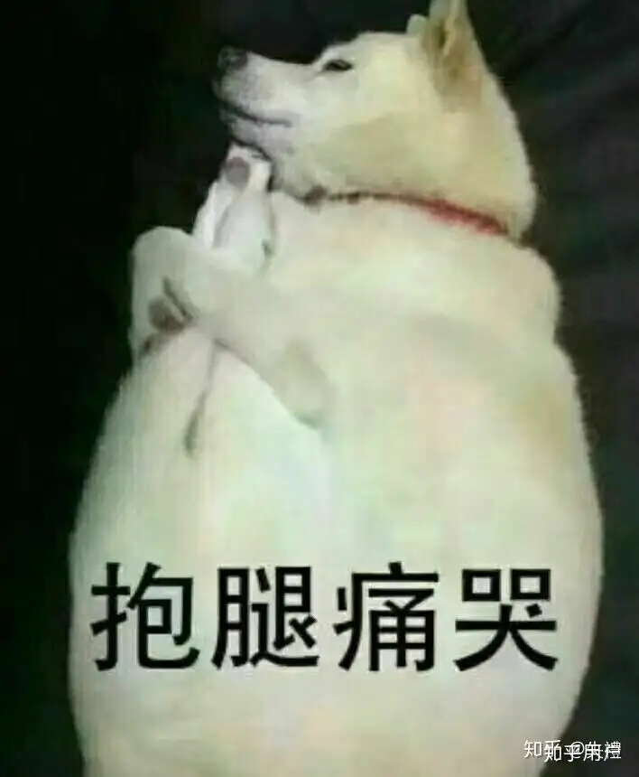 如何跟团欧洲游？