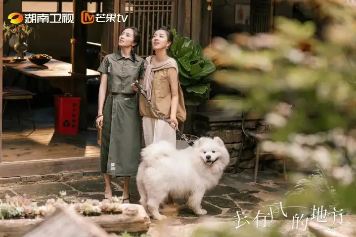 《去有风的地方》这部剧有什么不一样的看点？