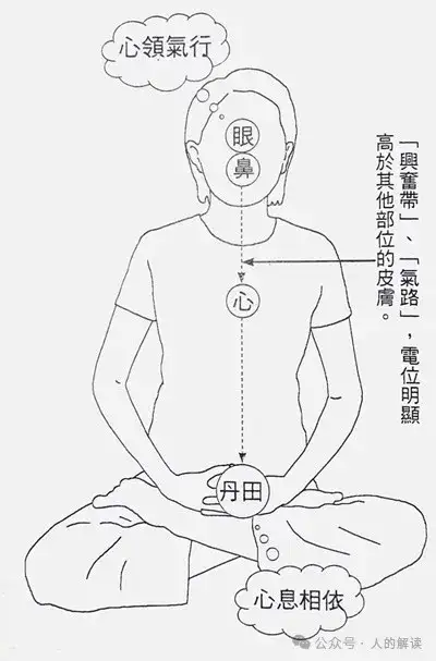 炼气的第一步，如何呼吸吐纳？-人的解读