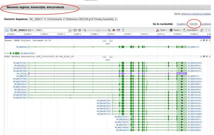 《NCBI保姆级使用教程（包含如何查找CDS、启动子、5'UTR和3'UTR、lncRNA序列）》