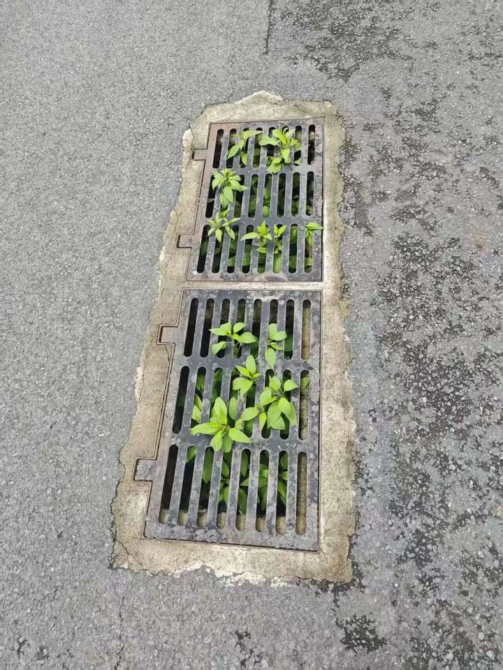 Featured image of post 焦虑压力缓解方法有哪些？分享一些实用技巧