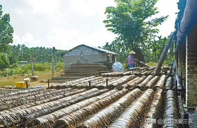 捞偏门的赚钱门路有哪些（偏门生意项目大全）