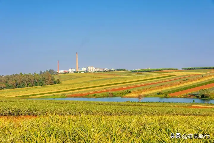 湛江景点哪里好玩（湛江6个最佳旅游景点推荐）