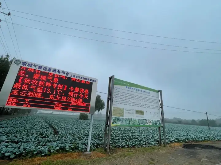 每日优鲜结局未卜，东方甄选爆火后有消费者投诉货品质量问题，为何农产品电商生意难做？需要解决哪些痛点？