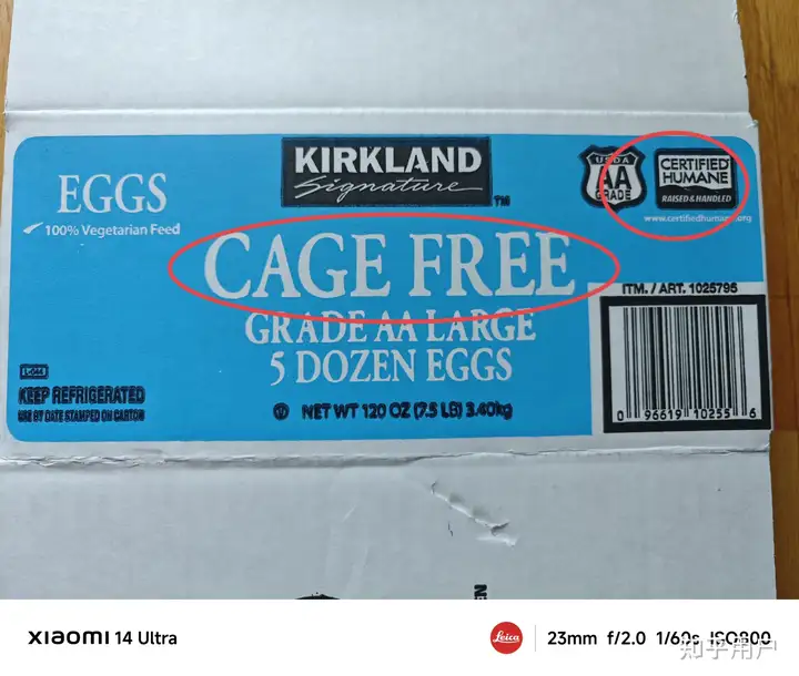 CAGE　FREE