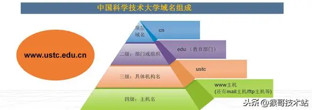 域名的基础知识有哪些（网址，URL，域名，IP地址，DNS，域名解析）