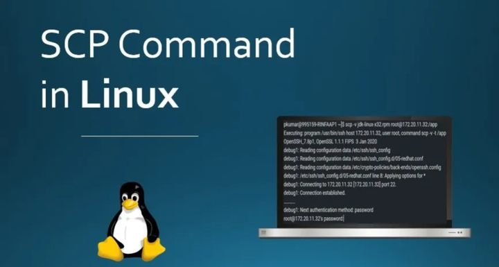 Linux服务器之间文件传输