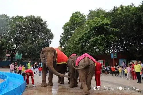 去东莞旅游有哪些景点推荐？