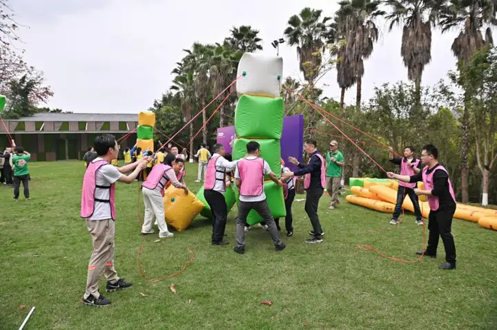 刑铸法治 骏启新程｜大成刑委会2025年会盛典耀启邕城