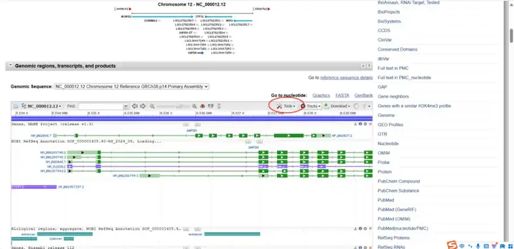 《NCBI保姆级使用教程（包含如何查找CDS、启动子、5'UTR和3'UTR、lncRNA序列）》