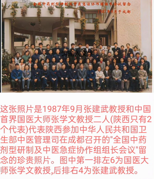 大师级民间老中医张建武