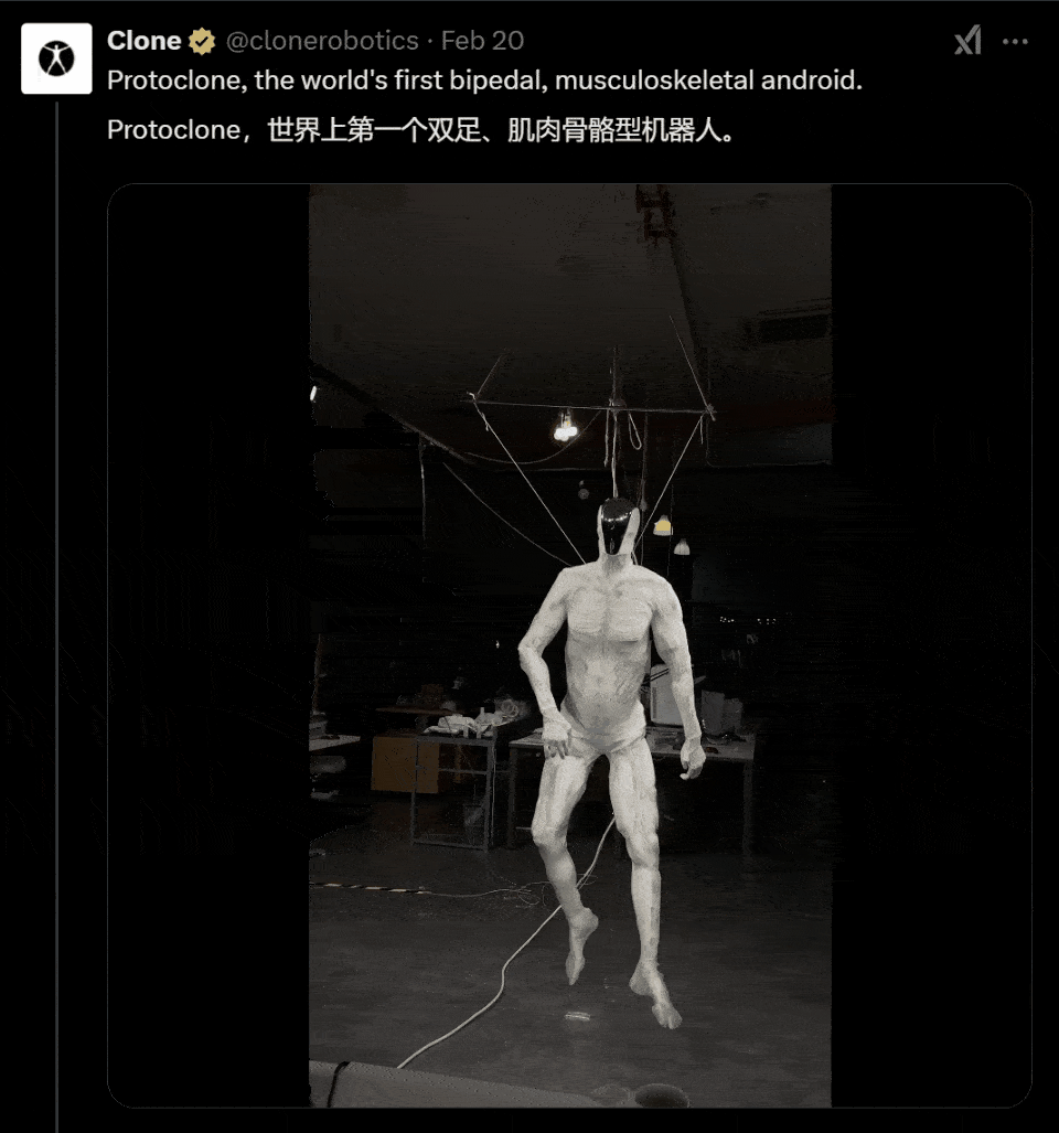 清华校友打造人形机器人最靓「小腰精」！商场擦鞋熊猫陪玩，订单爆棚