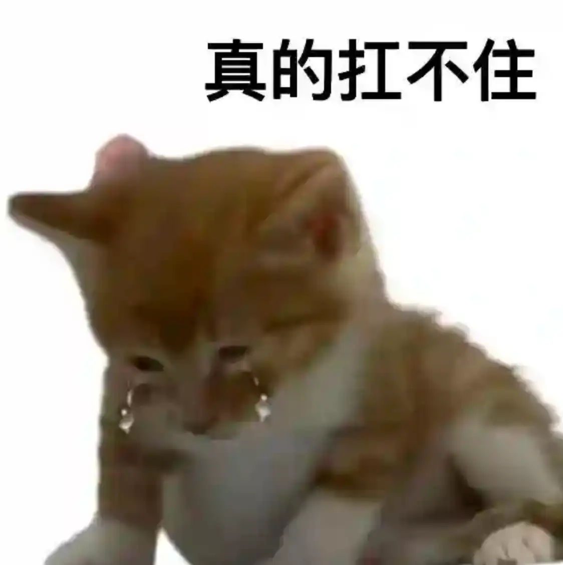 妹妹高考志愿被母亲偷偷修改，原本想学机械相关专业却被改报医学，遇到这种情况该怎么办？