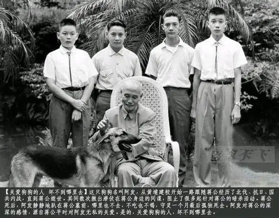 有哪些有趣的历史故事/历史人物? 第2张 有哪些有趣的历史故事/历史人物? 第2张