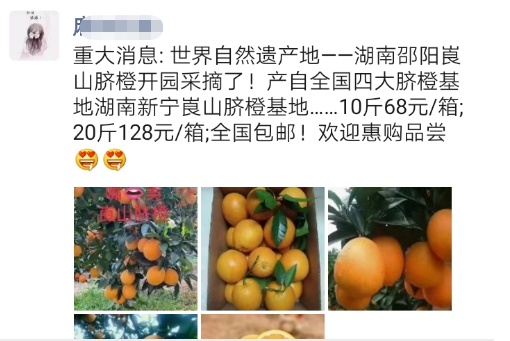 图片[4]-湖南新宁脐橙开园采果和新宁脐橙产业电商-墨铺