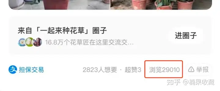 单号单天利润300+,日常维护时间1小时,分享一个高利润精转化的闲鱼新玩法
