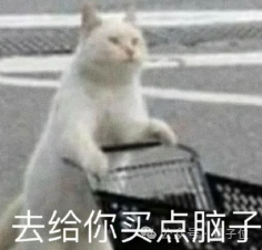 对话逐际动力张巍：造机器人很容易，关键是用起来