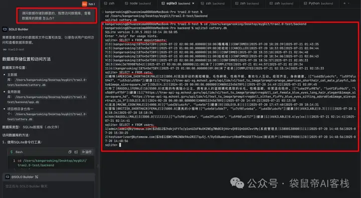 Trae 2.0重磅发布！Solo正在抢走全栈程序员的饭碗..