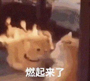 那个逼得我喊“救命”的AI客服，终于活出“人样”了。