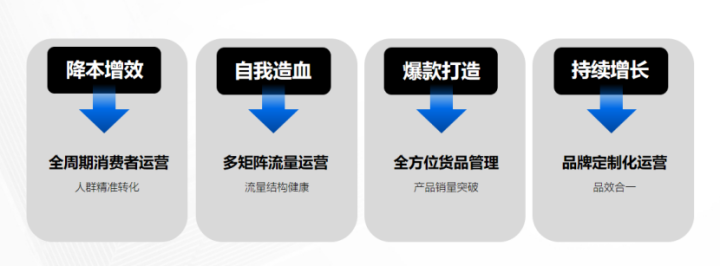 大麦电商属于什么平台？大麦电商代运营怎么样