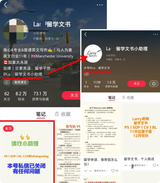 图片[8]-小红书矩阵玩法：大号小号配合实现低风险引流的完整方法-五柳网