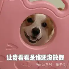 DeepSeek新数学模型刷爆记录！7B小模型自主发现671B模型不会的新技能