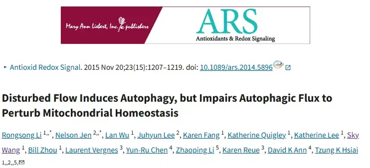 紊亂血流誘導(dǎo)自噬并損傷自噬流以擾亂線粒體穩(wěn)態(tài)