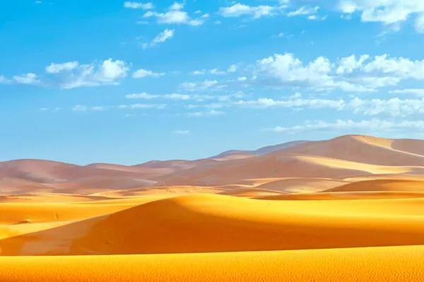 世界上最大的沙漠 世界上最可怕的沙漠