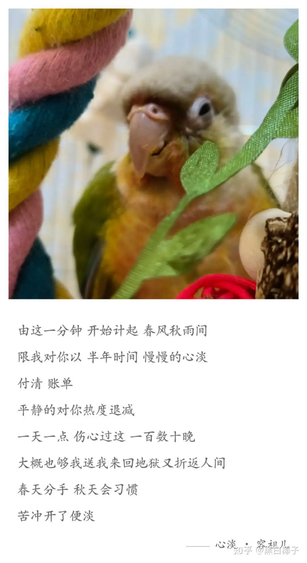 有没有一句让你瞬间破防的歌词? - 梦蝶的回答- 知乎 有没有一句让你瞬间破防的歌词? - 梦蝶的回答- 知乎