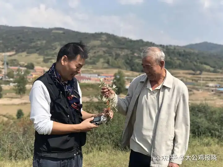 传承中医文化