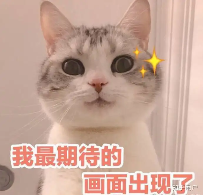 如何跟团欧洲游？