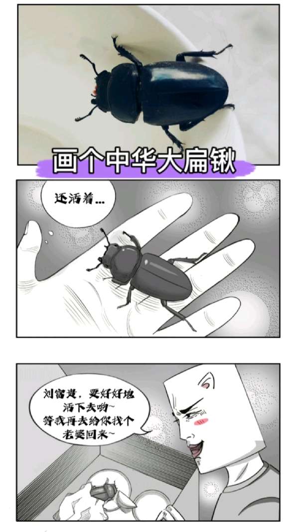 神经猫 的想法: 画一只中华大扁锹