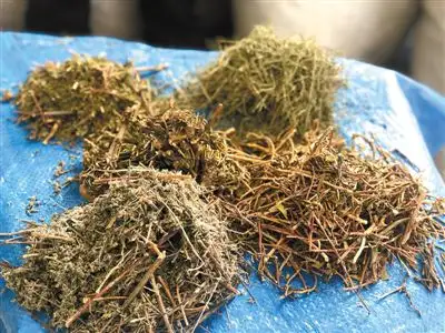 没想到（贵州药浴如何申请非遗）贵州泡澡 第4张