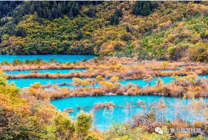 去九寨沟旅游要多少钱（去九寨沟旅游需要带什么）