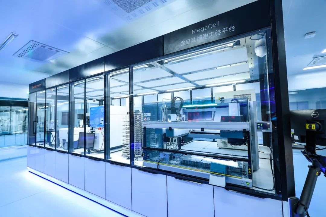 AI合成生物学，是颠覆还是炒作？这四大领域，已率先爆发！