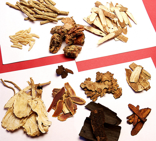 杜保国：肠胃病治疗，必须重视脏腑间因果关系