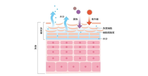 冬季以油养肤，纽莱伊美新品兰花油闪耀登场