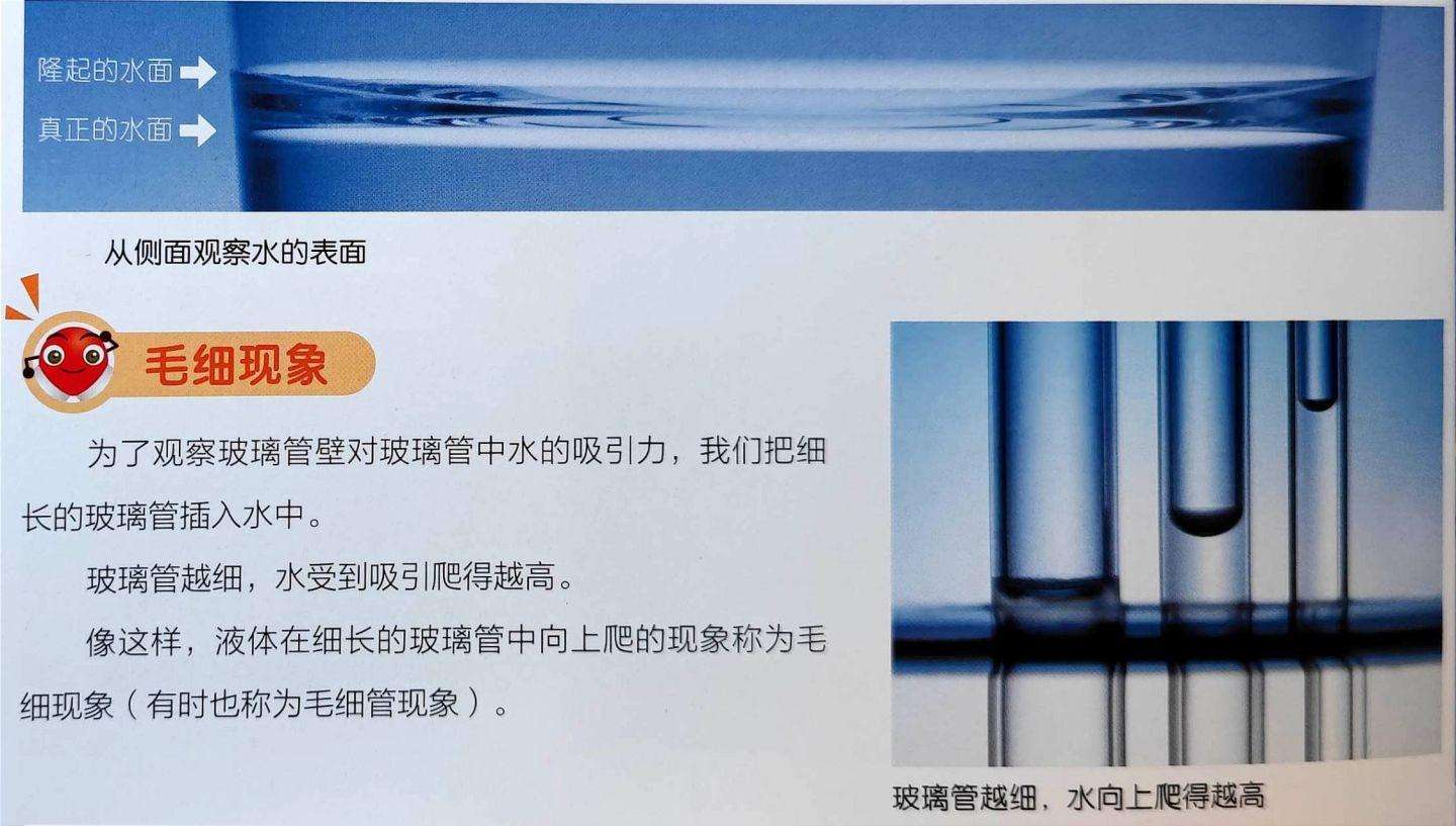 科学小实验 简单家里可以做的（7一12岁科学小实验）