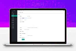 蓝奏网盘 解析源码，带后台，自定义广告