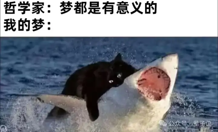 实测Gemini图片转视频新功能，终于蹲到经典梗图后续了（doge）
