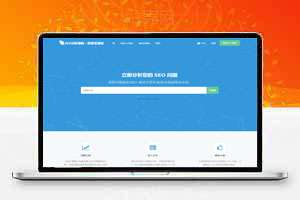 高级SEO化在线优化检测分析源码，获得更高收录
