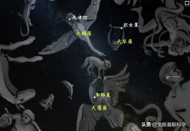 牵牛星和织女星图片（牛郎织女星的位置在哪里）