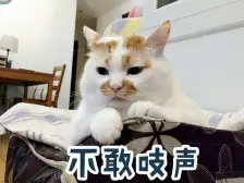 女生p 图到底有多可怕?