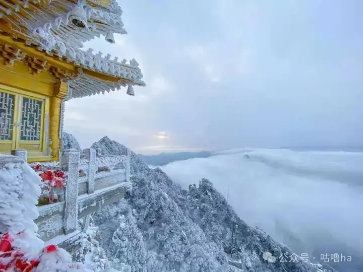 老君山风景区在哪里（老君山游玩路线攻略）