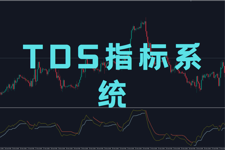 TDS指标系统